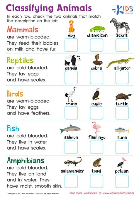 animal classification worksheet pdf